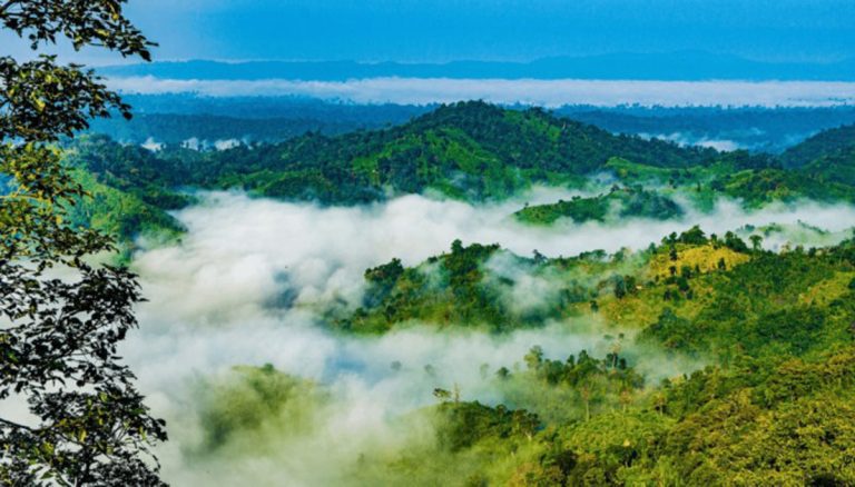 প্রিয় বন্ধুবর সঞ্চয় কৃতঘ্ন হইয়োনা