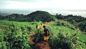 বিজু, সাংগ্রাই, বৈসু, বিষু, বিহু, সাংক্রাই, চাংক্রান, সাংলান, পাতা-২০২৫ উপলক্ষে