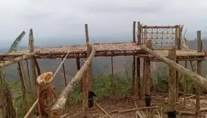 Construction of cottages occupying land of Buddhist monastery in Alikadam and Lama