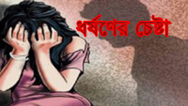 মিরসরাইয়ে এক মুসলিম বাঙালি কর্তৃক আদিবাসী ত্রিপুরা কিশোরীকে ধর্ষণের চেষ্টা