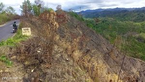 Allegations of land grabbing by outsiders after taking report from headman in exchange for money in Alikadam