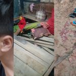 বিলাইছড়িতে সেনাবাহিনী কর্তৃক এক জুম্মকে গুলি করে আটক এবং স্ত্রীকে ধর্ষণের চেষ্টা
