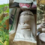 কক্সবাজারে মুসলিম বাঙালি কর্তৃক তিন তঞ্চঙ্গ্যা পরিবারের সদস্যদের মারধর, লুটপাট, এক নারীর শ্লীলতাহানি