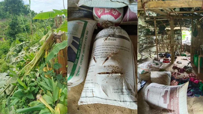 কক্সবাজারে মুসলিম বাঙালি কর্তৃক তিন তঞ্চঙ্গ্যা পরিবারের সদস্যদের মারধর, লুটপাট, এক নারীর শ্লীলতাহানি
