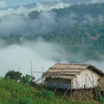 “আর্তনাদ”