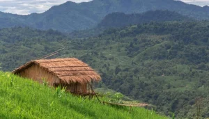 পাহাড় আজো কাঁদে