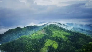 মাতৃভূমি