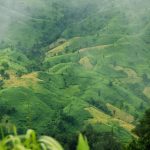 অশান্ত পাহাড়