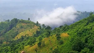 ‎এটাই স্বাধীন সভ্যতা?