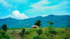 সাহিত্য হতে পারে অন্যায়ের বিরুদ্ধে সাহসী কণ্ঠ