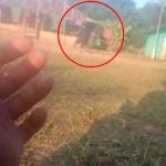 বাঘাইছড়িতে ব্যাপক সেনা অভিযান: ঘরবাড়ি তল্লাশি ও লুটপাট