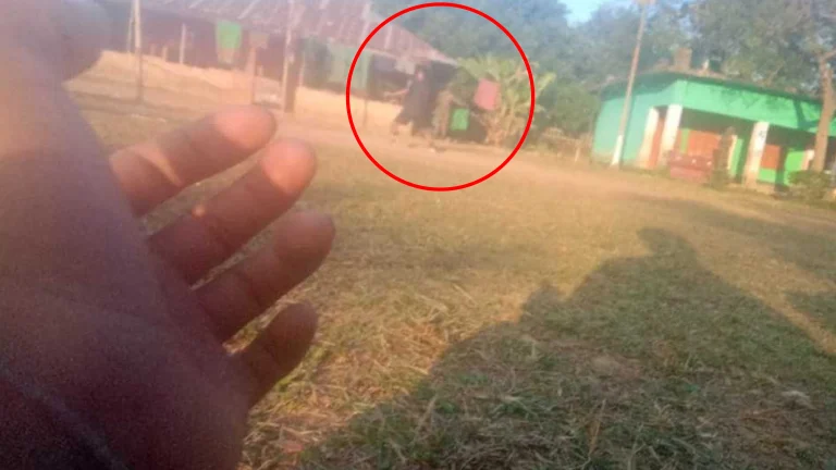 বাঘাইছড়িতে ব্যাপক সেনা অভিযান: ঘরবাড়ি তল্লাশি ও লুটপাট