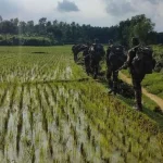 পানছড়িতে সেনা অভিযান অব্যাহত, জনমনে চরম আতঙ্ক