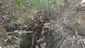 Army operation in Panchari, creating panic among the public