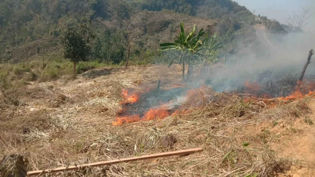 বিলাইছড়িতে সেনাবাহিনী কর্তৃক আবারও এক জুম্মর জুম পুড়িয়ে দেওয়ার অভিযোগ