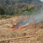 বিলাইছড়িতে সেনাবাহিনী কর্তৃক আবারও এক জুম্মর জুম পুড়িয়ে দেওয়ার অভিযোগ