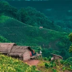 No Progress in the Human Rights Situation of the CHT