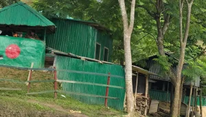 বিলাইছড়িতে সেনাবাহিনী কর্তৃক এলাকার কার্বারি, হেডম্যান ও মেম্বারদের ডেকে গালিগালাজ করার অভিযোগ